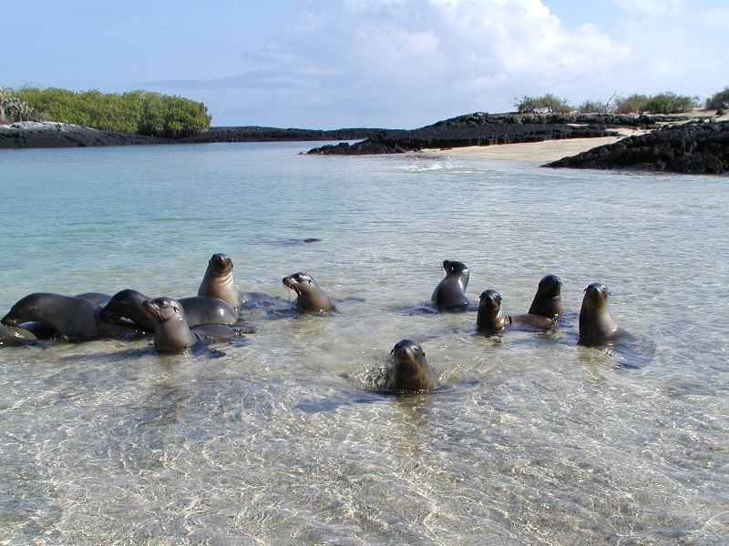 TOUR A GALAPAGOS SANTA CRUZ BASICO ELEMENTAL 4 DIAS 3 NOCHES Y DE 5 ...